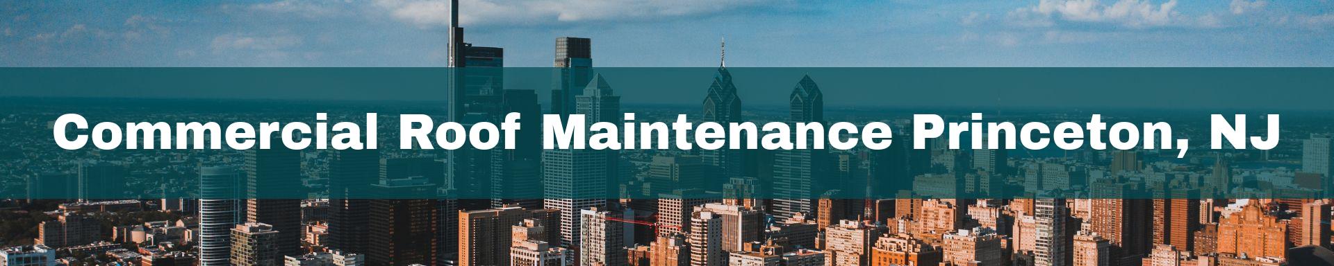 commercial roof maintenance Princeton, NJ